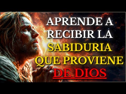 BUSCA LA SABIDURÍA DE DIOS PRIMERO y TODO lo DEMÁS se Te DARÁ Por AÑADIDURA - Reflexión Cristiana