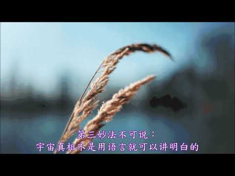 無根之草