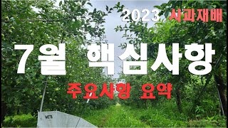 [사과재배] 7월,이 방법으로 하라.핵심 방제 포인트와 엽면살포의 영향