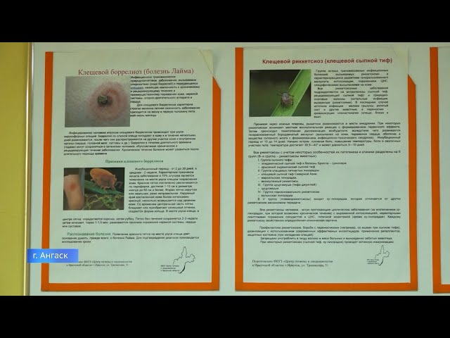 Активность клещей пошла на спад