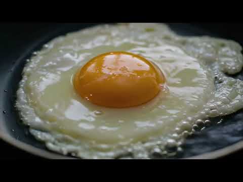 This is your brain, this is drugs, this is your brain on drugs…  Any questions?