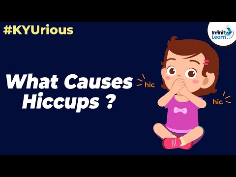KYU Box Season 3 | Qpisode 6 | What causes Hiccups? | Don't Memorise