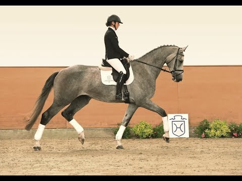 109 | Cejano v. Cellestial - Aljano