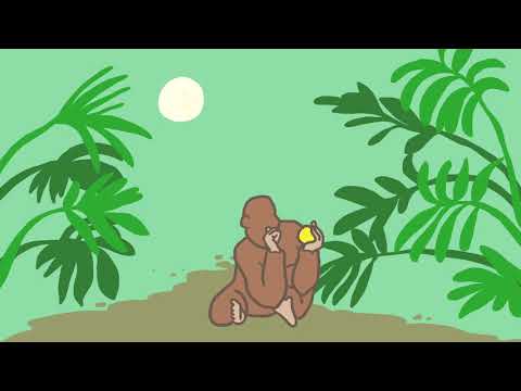 The Ball | Animation by Lili Xu