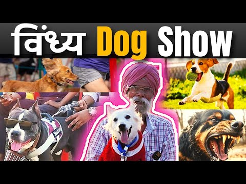 Vindhya Dog Show 2025 🐶 | रीवा का पहला डॉग कार्निवल | अनोखी नस्लें और जबरदस्त परफॉर्मेंस!