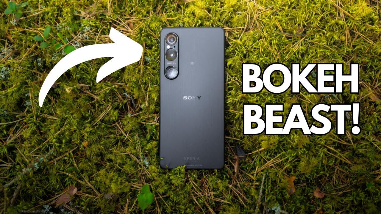 Xperia 1 VI in the field - Nature Photography Test