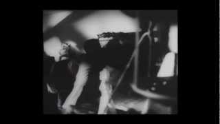 Cuckoo Cuckoo ~ Animal Collective