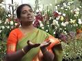Yesuvai Umai Song Vaazhvin Geethangal Jesus Lives Ministries