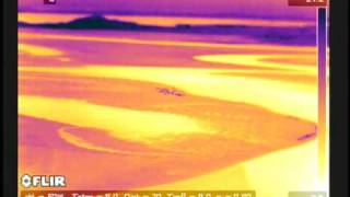 preview picture of video 'Aerial Thermal Imaging footage in twin engine helicopter AS355n of seals at Sligo Bay Ireland'