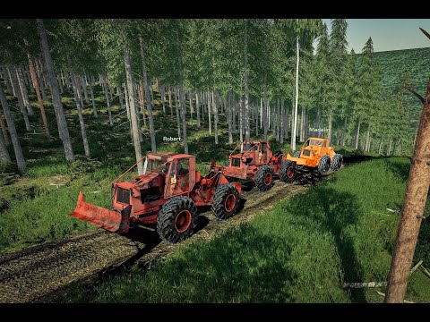 TAFURI ROMANESTI LA PADURE / REALISTIC GAMEPLAY FORESTRY / FS 22