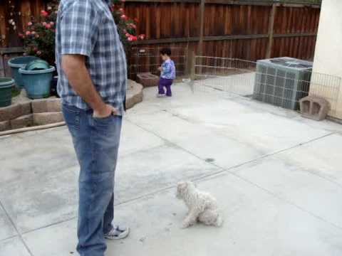 Happy Birthday Anaiah