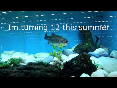 sportfiskemässan 2019