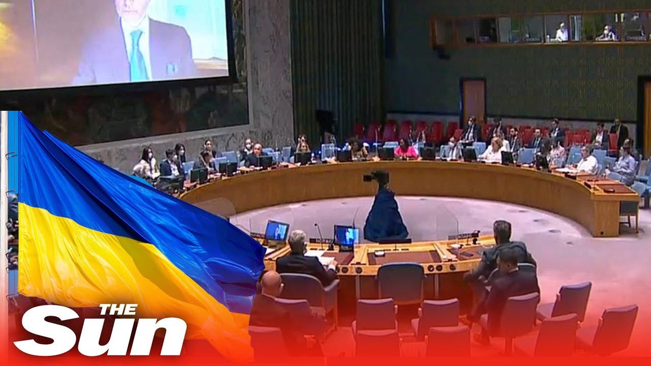 AO VIVO: Conselho da ONU se reúne para discutir crise na Ucrânia no aniversário de seis meses da invasão russa