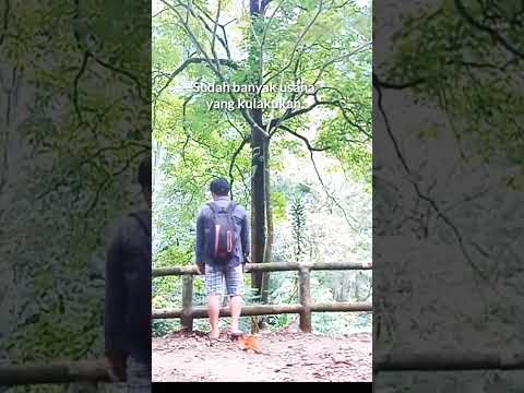 M3LUP4K4N #shorts  #videoshort  #trending  #puisicinta