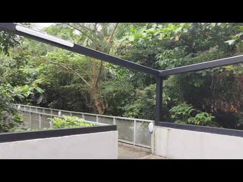 ASUS ZenFone 8 Video Pro mode 3 surround microphones