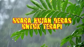 Download lagu suara hujan deras tanpa petir untuk terapi tidur dan terapi burung | suara hujan pengantar tidur mp3