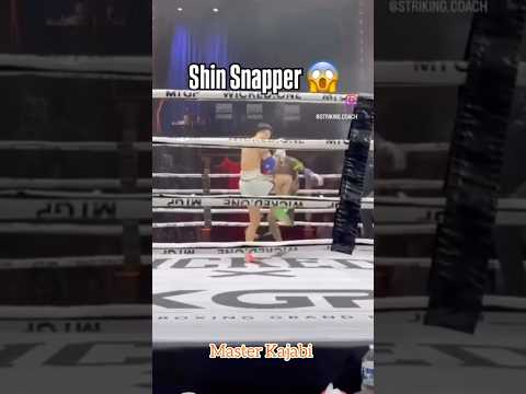 Shin Snapper 😱#thaiboxing #muaythai #mma #ufc #knockout #martialarts