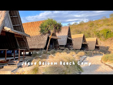 Jeeva Beloam Beach Camp Lombok | Drone Video