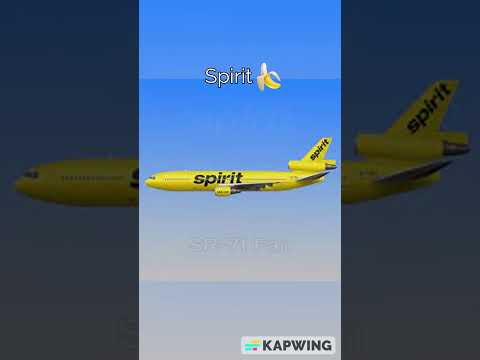 If Other Airlines Had The DC-10 #aviation #dc10 #airplanes #aviationmemes