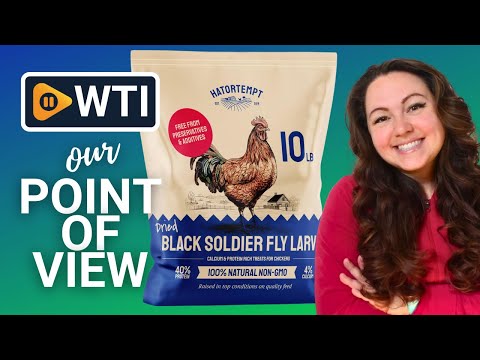 Dried Black Soldier Fly Larvae for Chickens 10LB – 100% Natural Non-GMO Bulk Chicken Feed – High Protein BSF Food with More Calcium Than Mealworms for Laying Hens - WTI product video review