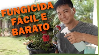 Miniatura do vídeo
