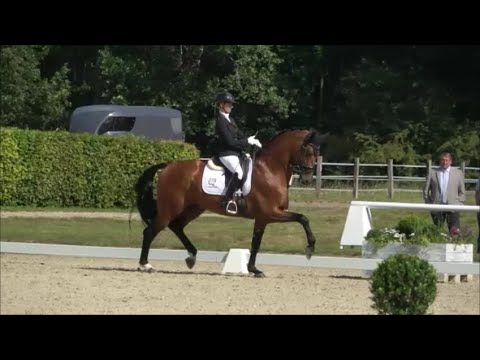 VALVERDE - Westfalenchampion 2021 von Vitalis - Ampere