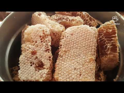 Honey harvesting|Jenu Mayana maduva vidhana in kannada|Honey harvesting method