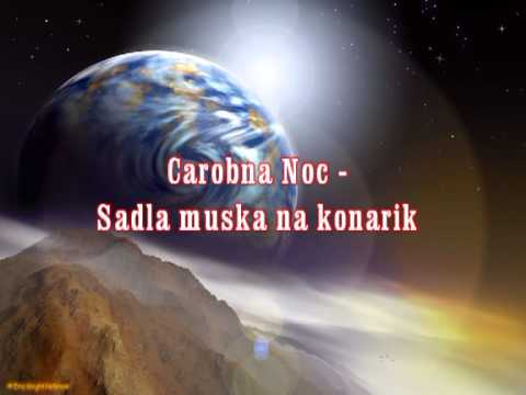 Carobna Noc - Sadla muska na konarik