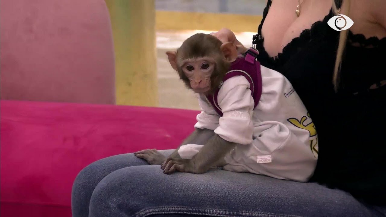 Nga Heidi dhe Romeo, tek Françeska, Yabu miqësohet me banorët