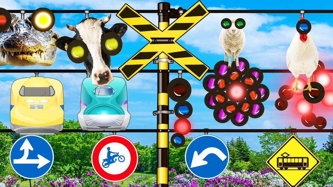 踏切アニメ　たくさんの信号の盛り合わせふみきりカンカン　Railroad Crossing and train　fumikiri　　ドクターイエロー　はやぶさ　こまち
