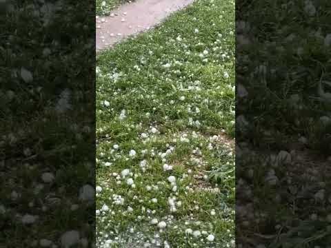 Caída de granizo en Vicuña Mackenna, Córdoba.🎥23/10/2025