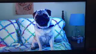 Lady Dynamite - If You Could Read My Mind