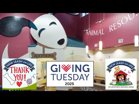 Join Dr. Kreis on a Virtual Tour of New Leash on Life's Design