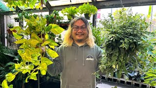 Where I Found Peace and Plant Shopping in Busy Los Angeles