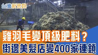 農廢大轉身！把「雞羽毛」變頂級氮肥 成功化腐朽為神奇！從街邊洗頭妹到400家門市！揭密連鎖帝國60年不敗的制度祕密｜【台灣新思路】20260305｜三立iNEWS