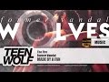 Former Vandal - The Fire | Teen Wolf Music Made ...