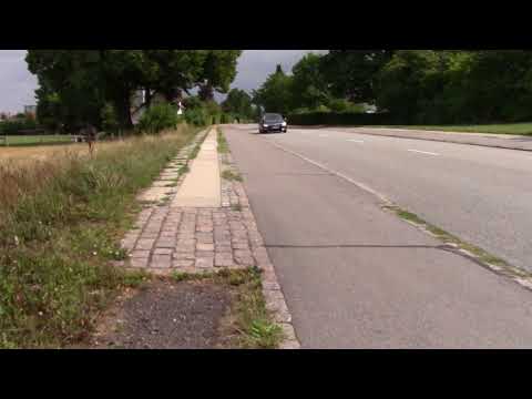 MongoTV_1288 - Del 2 - Jeg Kom Lidt Ud og Gå Igen i Dag