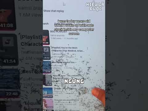 Nguyên nhân khiến màn hình Tivi trở thành tổ của kiến. 😨🐜