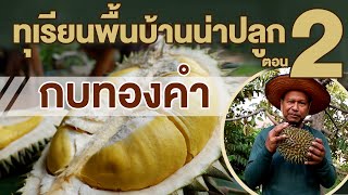 สวนตาก้าน (2563) : แนะนำทุเรียนน่าปลูก ตอน 2