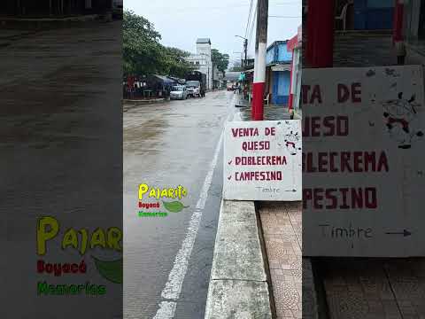 Pajarito - Boyacá (11:53 a.m.) (Mayo 21/2026)