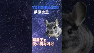 【TERMINATED / 茅原実里】一発撮りで歌ってみた！（境界線上のホライゾンOP) cover 精霊王　#shorts