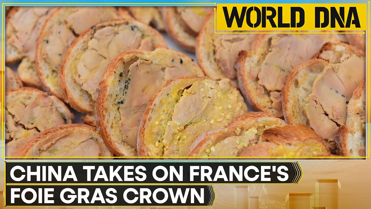 China Eyes Global Foie Gras Leadership | China's Export Ambitions Grow | World DNA