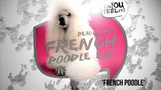 Beauriche - French Poodle video