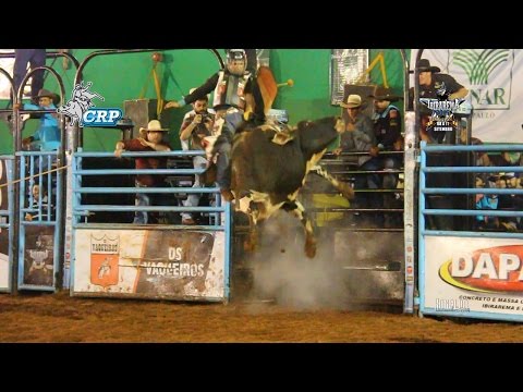 Ibirarema Rodeio Fest 2016  - FINAL