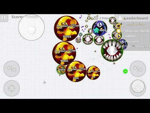 24 hours Agar.io livestream let’s do it😂8.8.8.8 dns