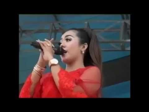 download lagu mp3 mp4 Lagu Dangdut New Pallapa Loro Ati, download lagu Lagu Dangdut New Pallapa Loro Ati gratis, unduh video klip Lagu Dangdut New Pallapa Loro Ati
