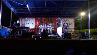 David P. Stevens @Jazz In The Park-Irondale, Birmingham, AL