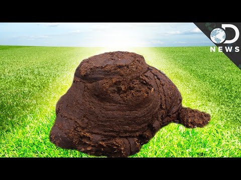 Why Do People Think Bullsh*t is Profound?