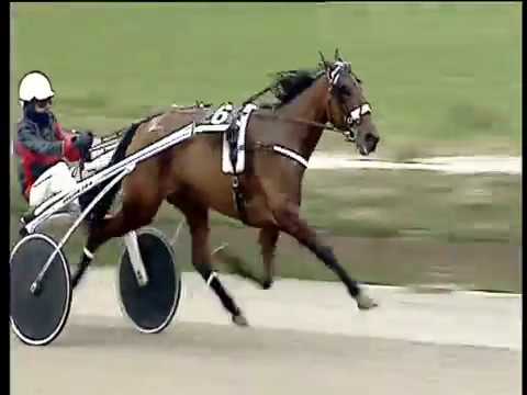 Trotto 23/02/2018 - 1ª corsa