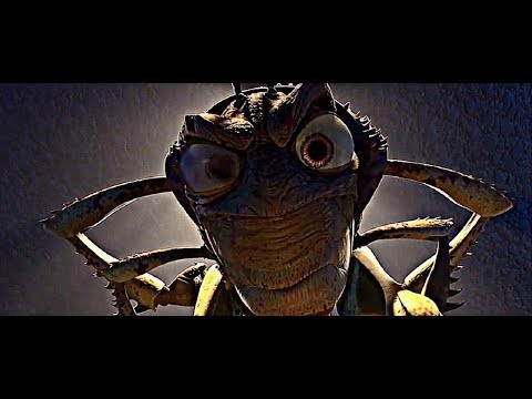 image-How long do locust bugs live?